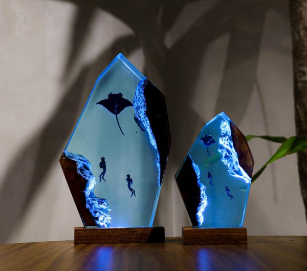 Manta Rays and Diver Night Lights
