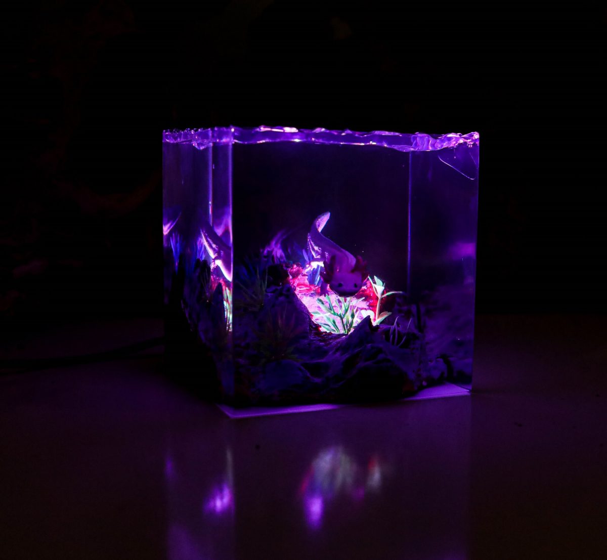 Axolotl Epoxy lamp