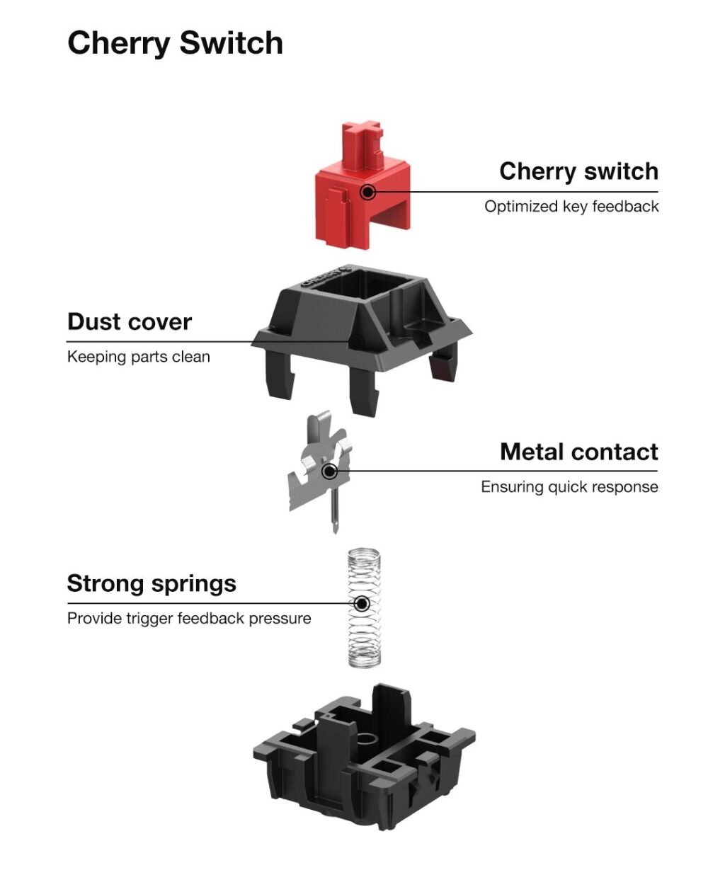 Components of a Cherry MX Switch
