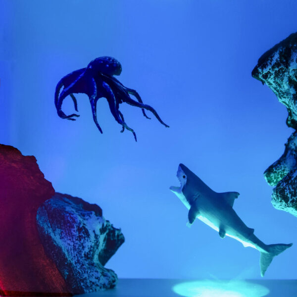 Octopus and Shark Night Lights