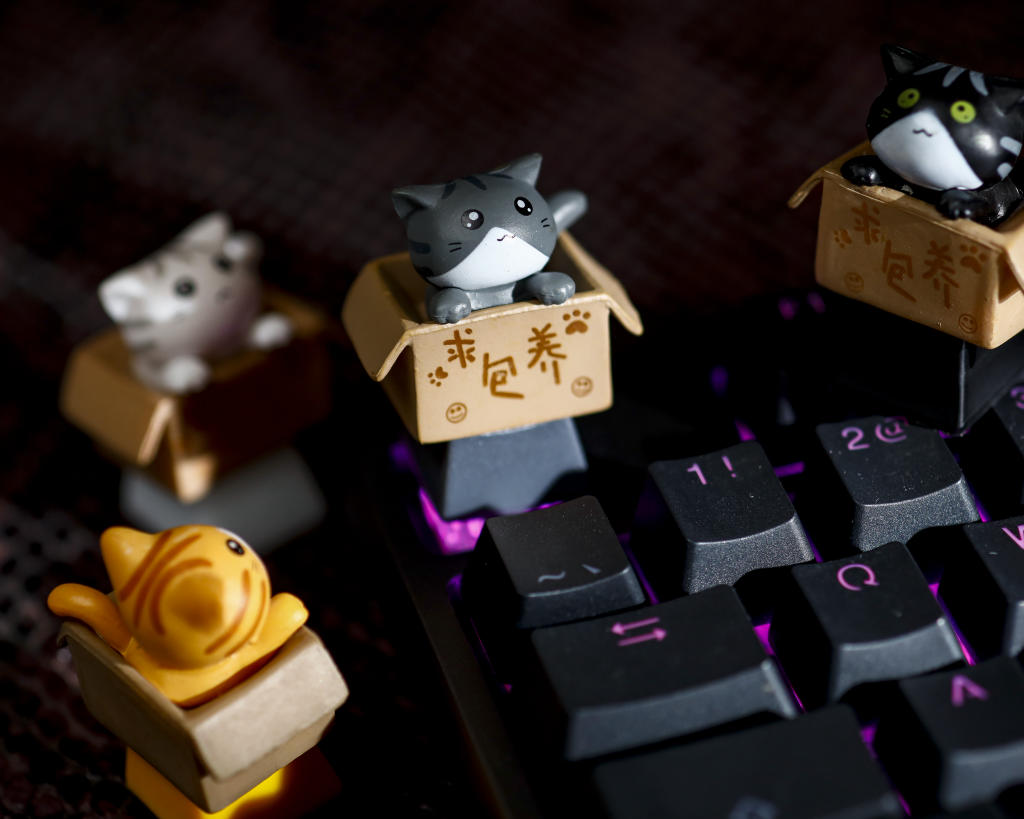 Cute Cat keycaps
