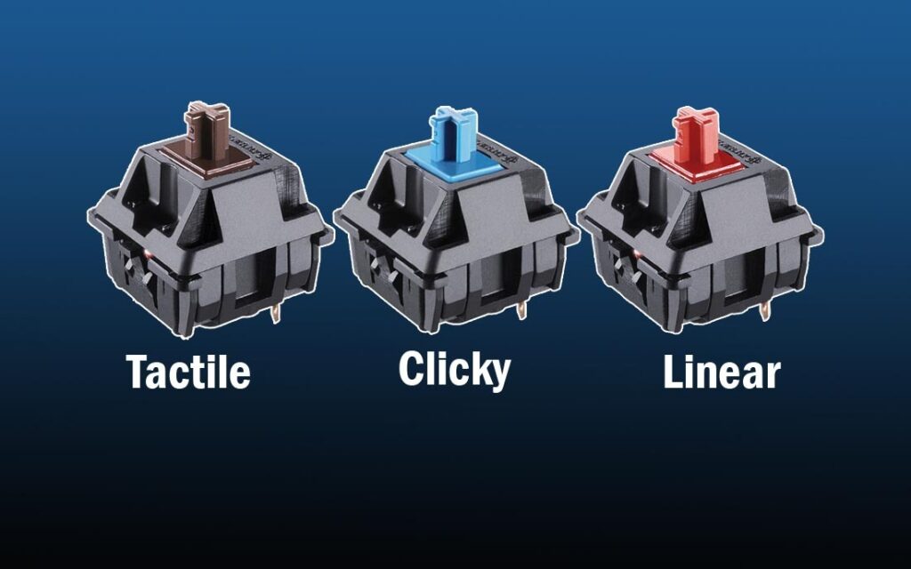 Linear vs tactile vs clicky switches