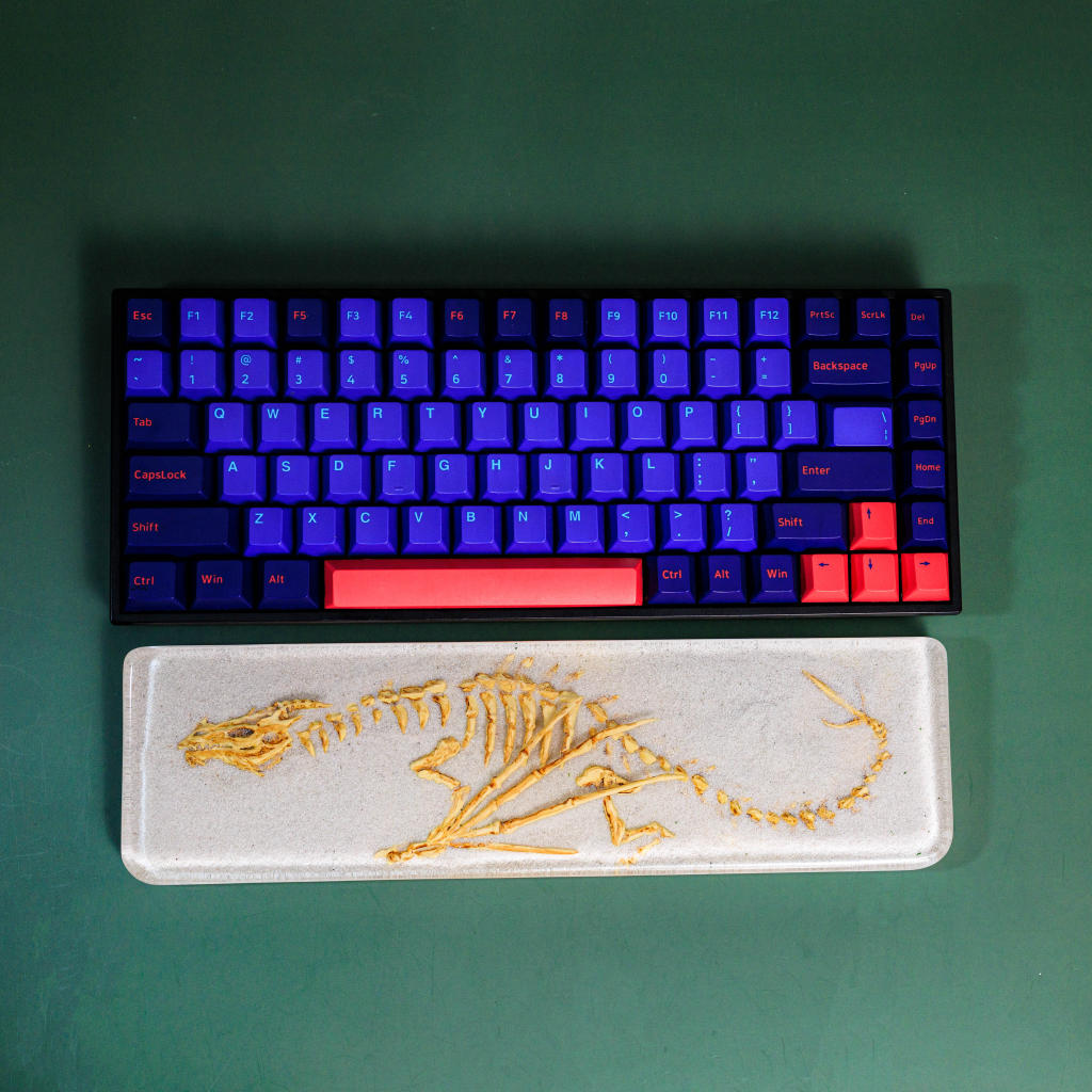 Fossil Dragon Keyboard Wrist Rest 1 Fossil Dragon Keyboard Wrist Rest