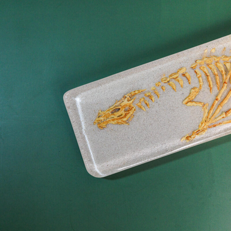 Fossil Dragon Keyboard Wrist Rest 6 Fossil Dragon Keyboard Wrist Rest