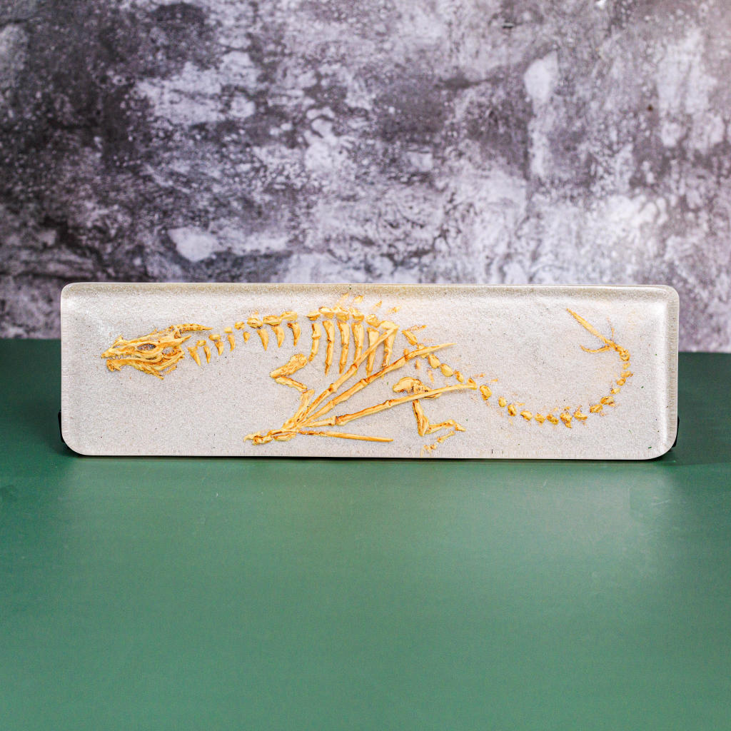 Fossil Dragon Keyboard Wrist Rest 8 Fossil Dragon Keyboard Wrist Rest