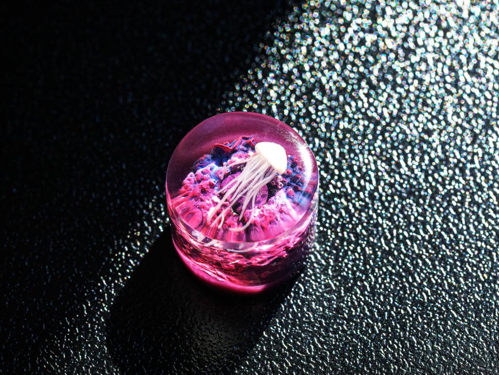Jellyfish Volume Switch Knobs keycap 6 Jellyfish Volume Switch Knobs keycap