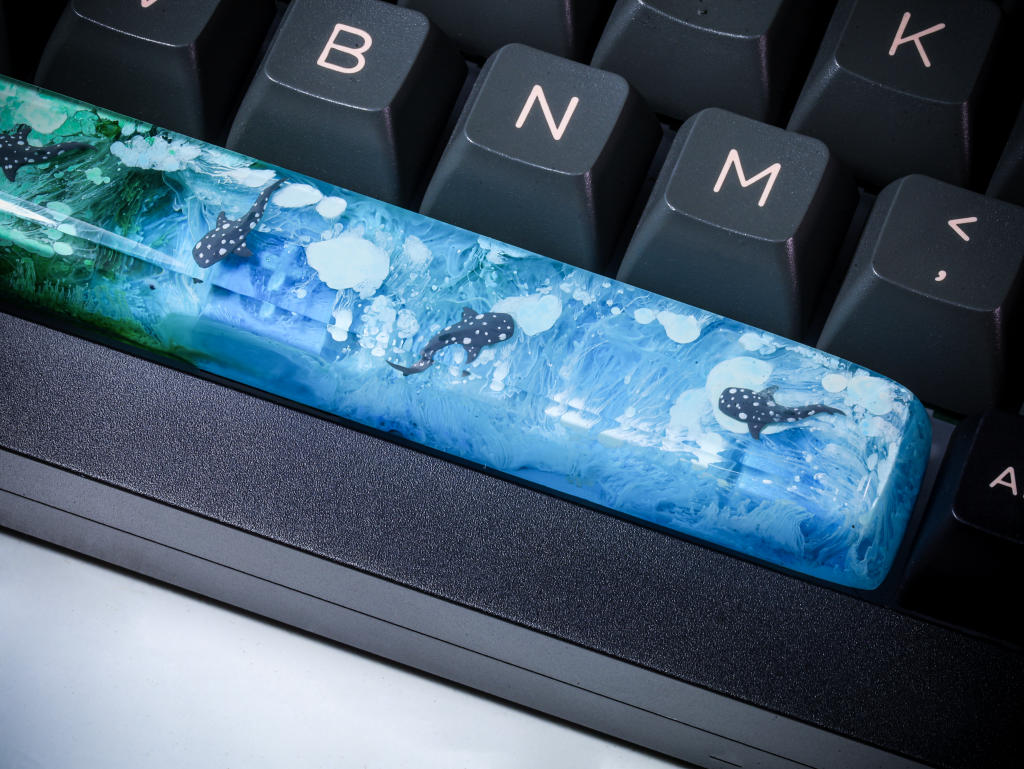 Whale Shark Spacebar 2 Whale Shark Spacebar