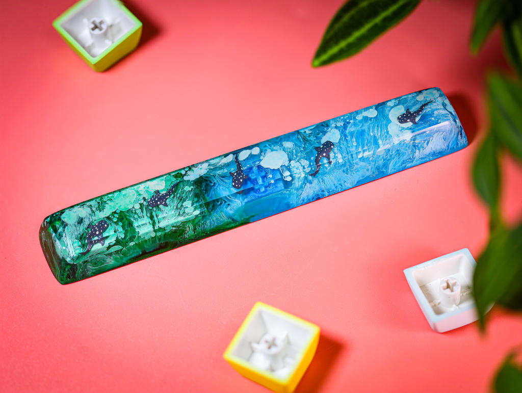Whale Shark Spacebar 5 Whale Shark Spacebar