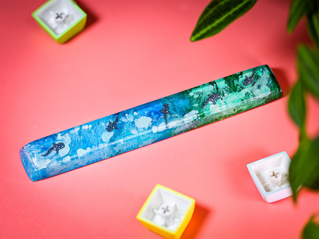 Whale Shark Spacebar 6 Whale Shark Spacebar