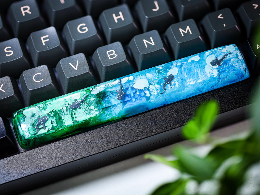 Whale Shark Spacebar 9 Whale Shark Spacebar