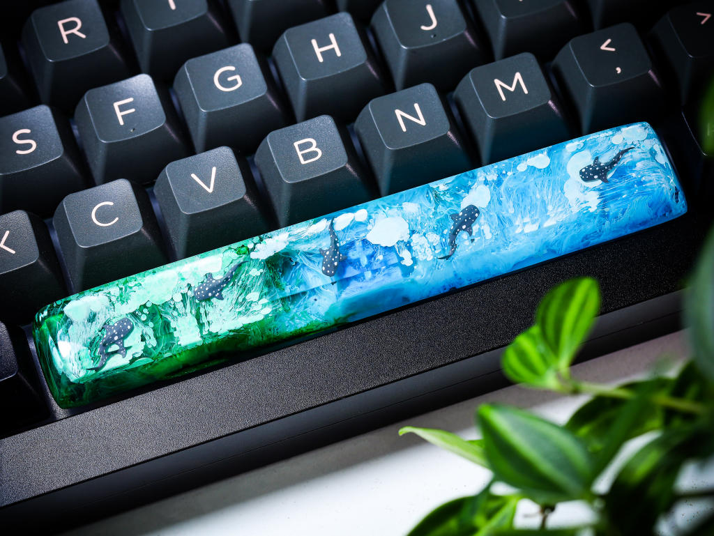 Whale Shark Spacebar 8 Whale Shark Spacebar