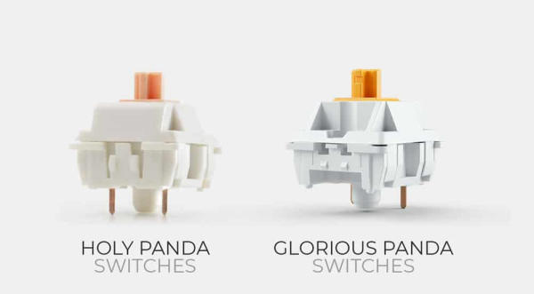 Glorious Panda vs Holy Panda: Which One Should You Choose?